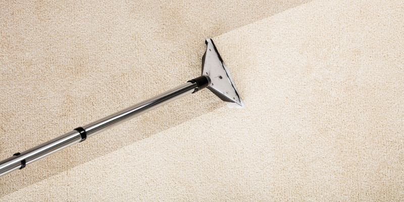 The One Perk of Residential Carpet Cleaning You Didn’t Expect