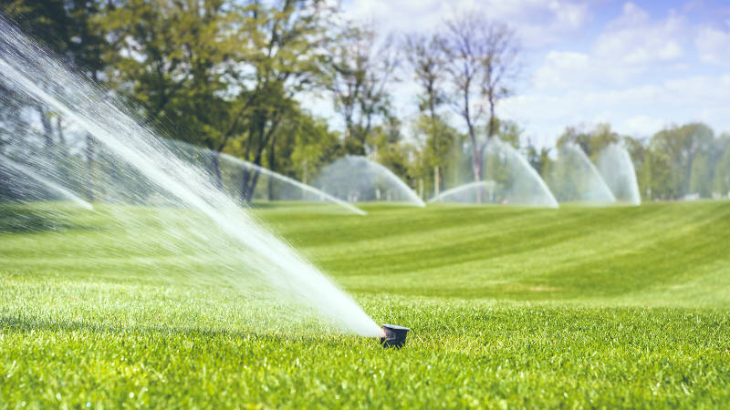 Why Beautiful Landscaping Needs a Good Irrigation System