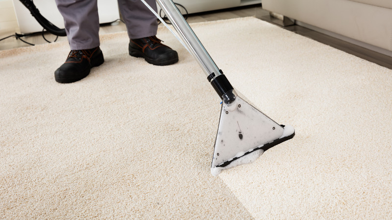 3 Great Benefits of Professional Carpet Cleaning for Your Business