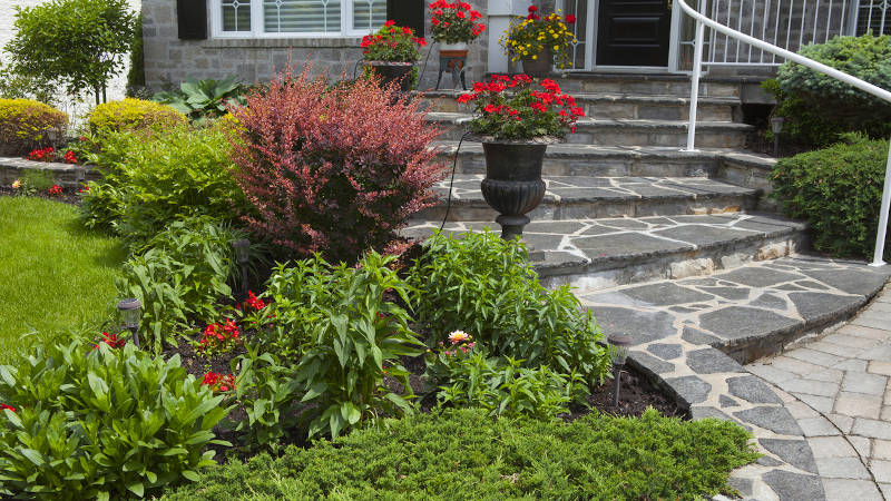 Native Landscaping: Making Your House a Home