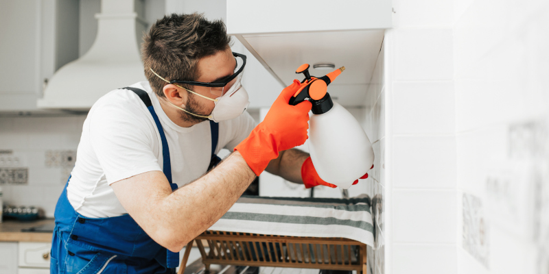 The Benefits of Hiring Professional Residential Pest Control Service