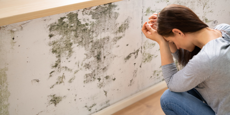 Get the Facts: The Importance of Home Mold Testing