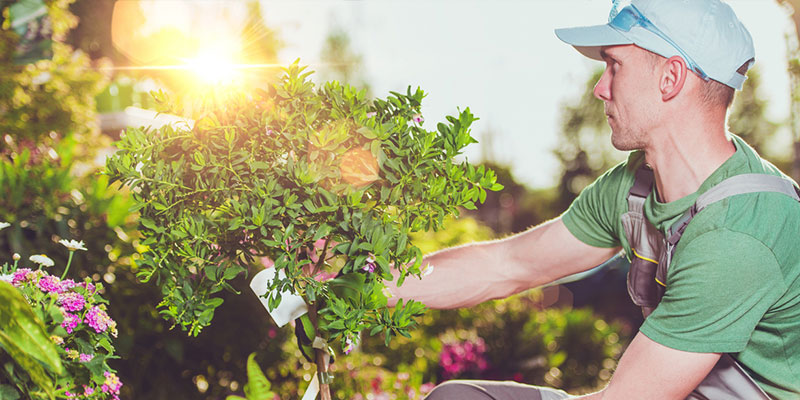 Why You Should Trust a Professional for Your Landscaping Services