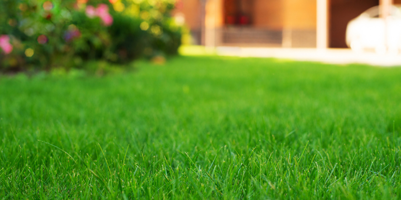 Achieve Lush Outdoor Living: Troubleshooting 3 Common Lawn Care Issues